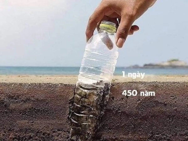 8x6 96481
