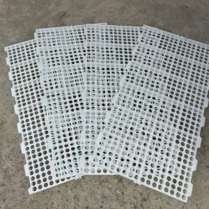 Lỗi 404 Tấm nhựa lót sàn chăn nuôi – Giải pháp bền vững cho chuồng trại hiện đại