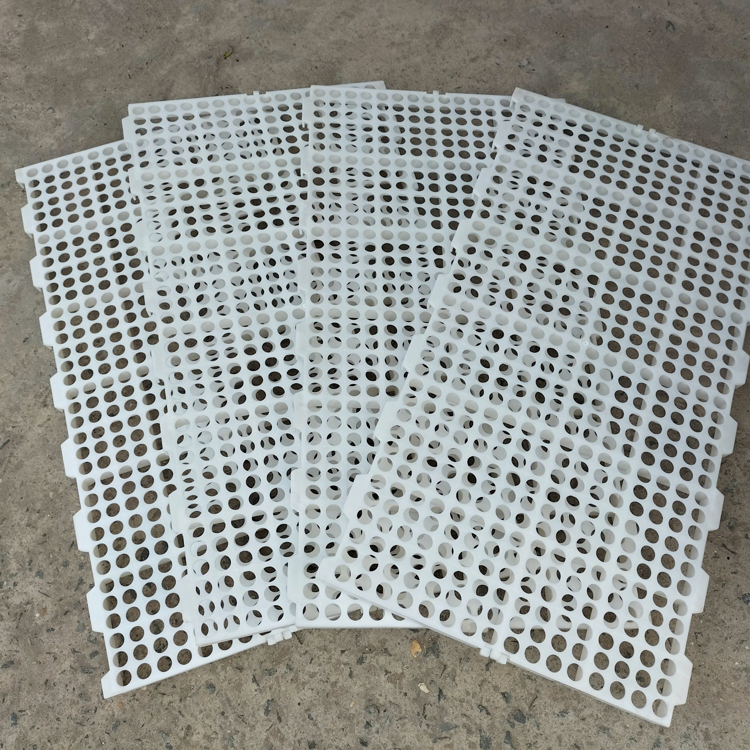 Tấm nhựa lót sàn chăn nuôi – Giải pháp bền vững cho chuồng trại hiện đại Tam nhua lot san chan nuoi