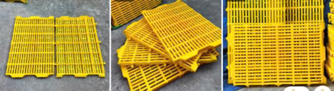 Tấm nhựa lót sàn chăn nuôi – Giải pháp bền vững cho chuồng trại hiện đại Tấm nhựa lót sàn chăn nuôi – Giải pháp bền vững cho chuồng trại hiện đại - Ảnh 3