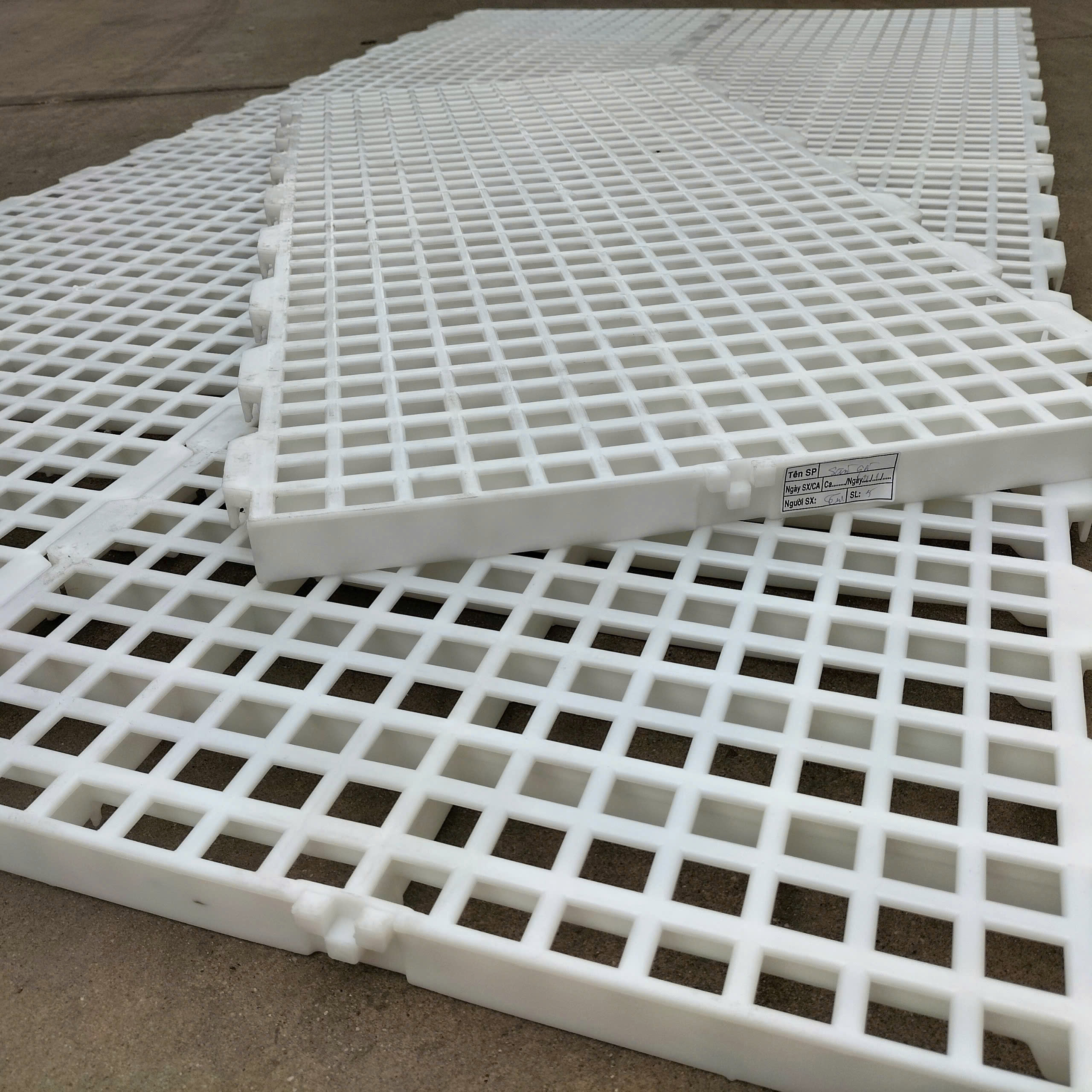 Tấm nhựa lót sàn chăn nuôi – Giải pháp bền vững cho chuồng trại hiện đại z7190248310899 57ce426b6418cd34315a38182d420e14