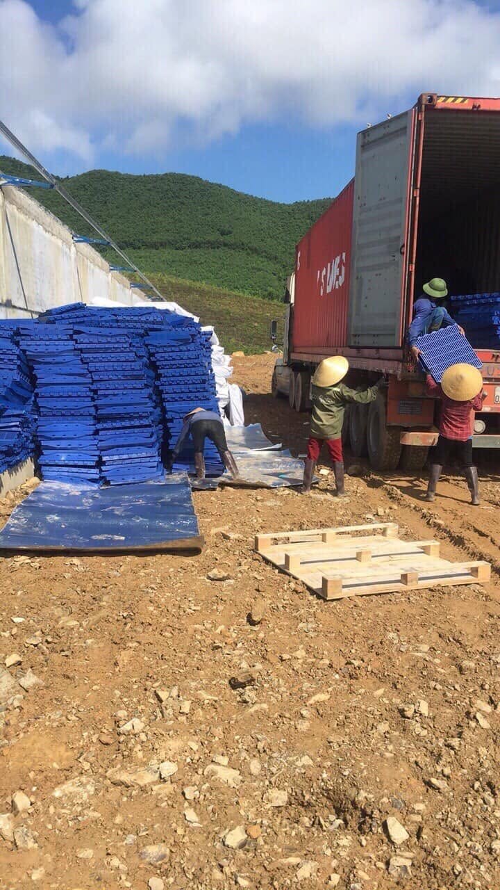 Pallet Nhựa Xuất Khẩu: Vì Sao Không Cần Hun Trùng (ISPM-15)? Bảo trì pallet nhựa xuất khẩu hiệu quả