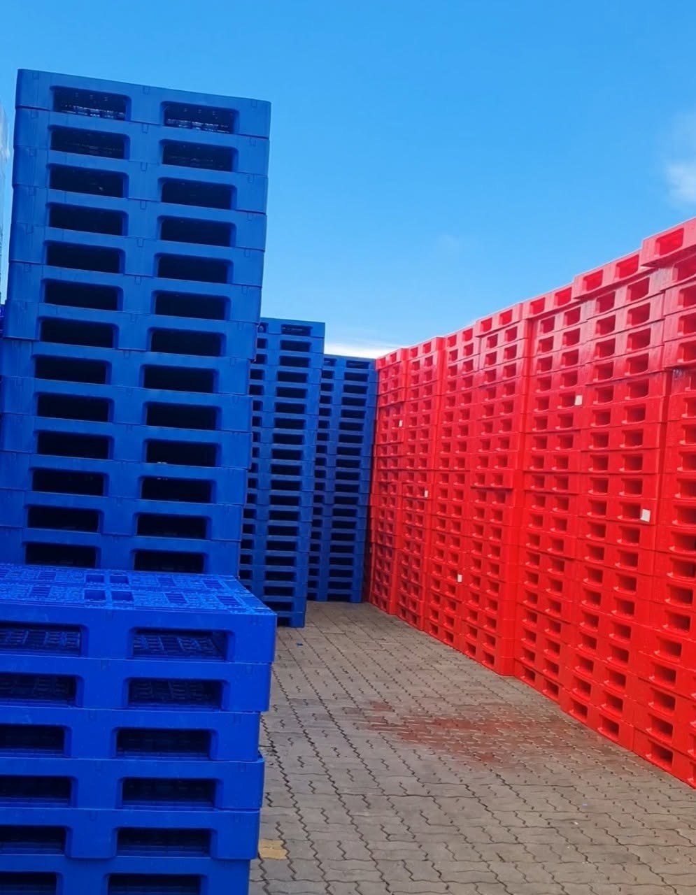 pallet nhựa xuất khẩu không cần hun trùng ISPM-15
