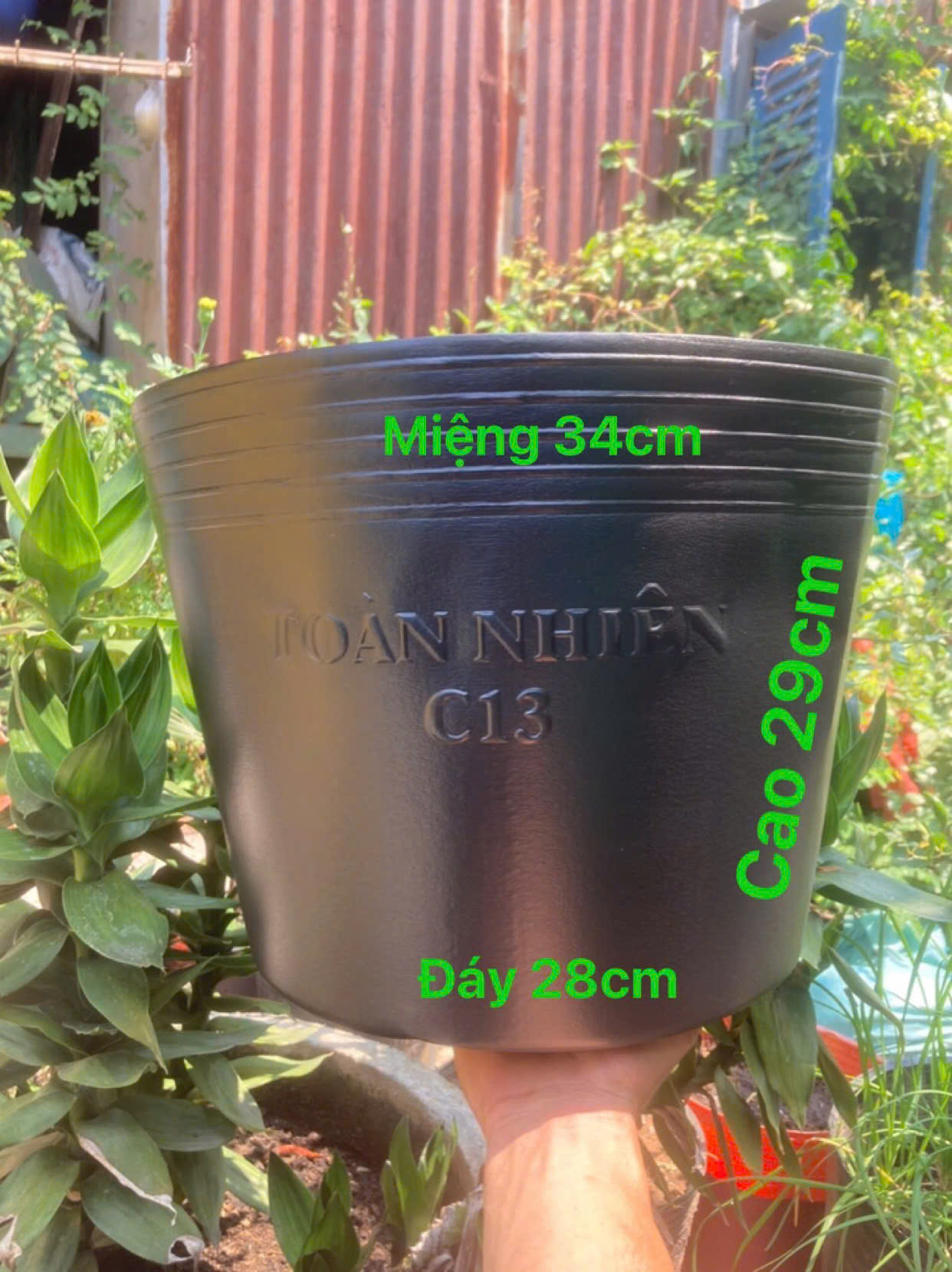 Chậu trồng hoa nhựa bền đẹp, giá tốt tại Plastic Sài Gòn