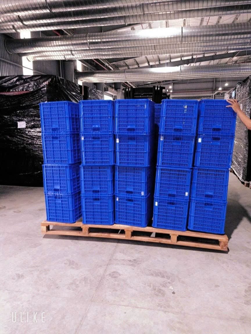 rổ nhựa bít hở chất lượng cao Plastic Sài Gòn